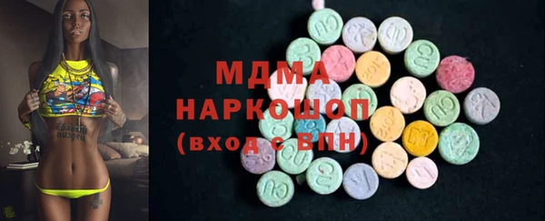 индика Бронницы