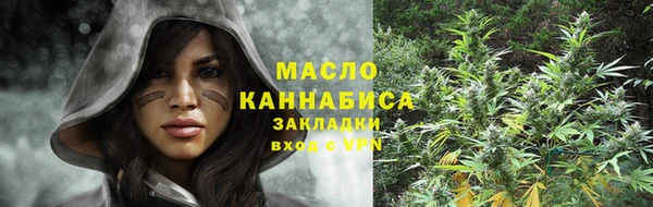 индика Бронницы